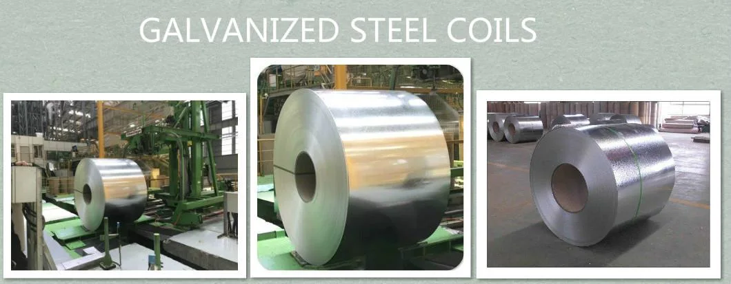 Wholesale Q195/Dx51d/SGCC/ASTM/G550/S350gd/Ss340/G60/G90/ Hot/Cold Rolled Zinc Coated Galvanized/Galvalume//Corrugated/PPGL/Gi /Gl/ Steel Coil/Sheet/Plate Steel